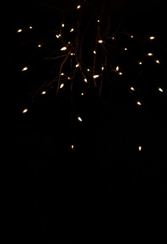 sinister string lights ambiance